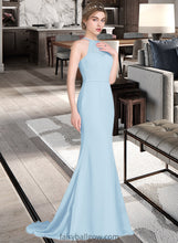 Load image into Gallery viewer, Janelle Trumpet/Mermaid Scoop Neck Sweep Train Chiffon Tulle Bridesmaid Dress With Ruffle XXCP0013194