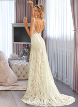 Load image into Gallery viewer, Delilah Trumpet/Mermaid V-neck Court Train Tulle Lace Wedding Dress XXCP0013708