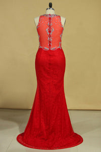 2024 Red Plus Size Prom Dresses Scoop Beaded Bodice Sweep Train Lace Mermaid