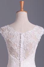 Load image into Gallery viewer, 2024 New A-Line Wedding Dresses Bateau Court Train Covered Button Tulle &amp; Lace Applique